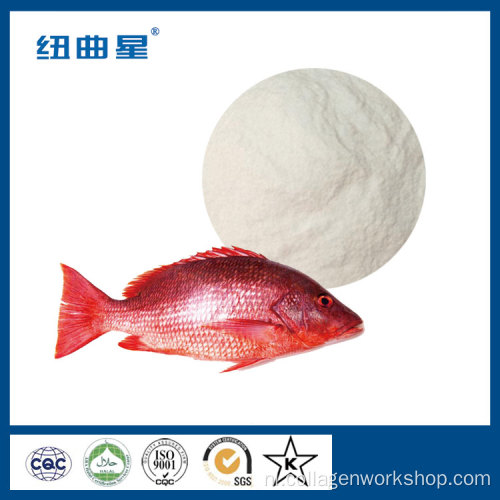 red snapper collageenpeptidepoeder